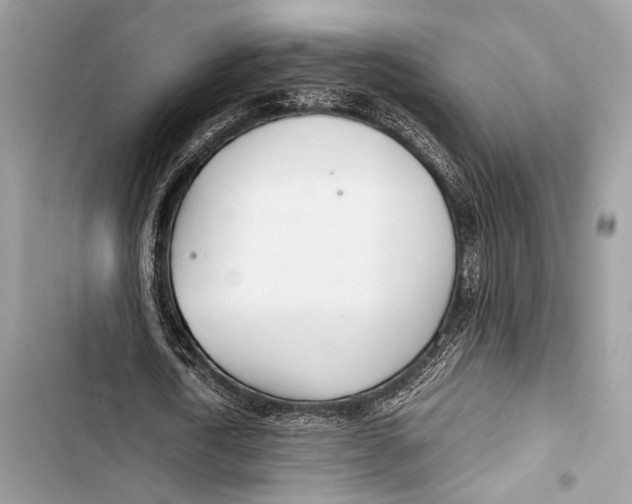 X0000103480722200810031542