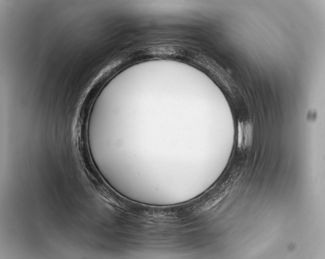 X0000103480723200810031542