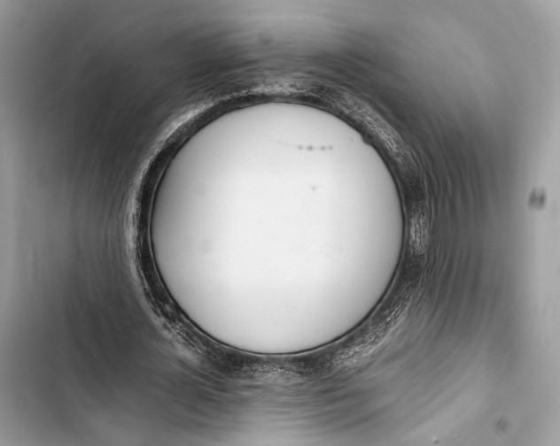 X0000103480724200810031542