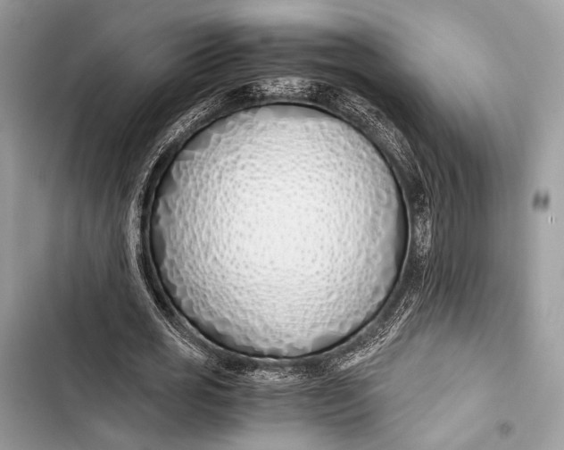 X0000103480725200810031542