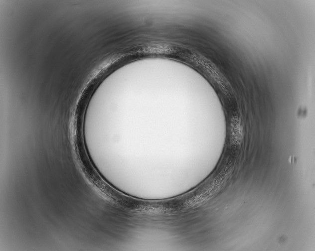 X0000103480726200810031542