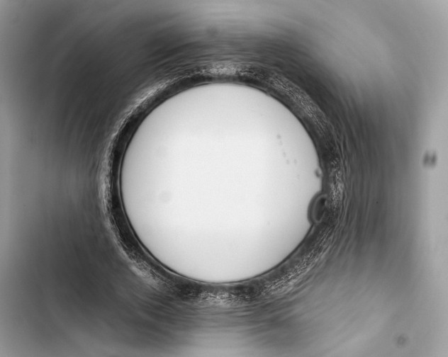 X0000103480728200810031542