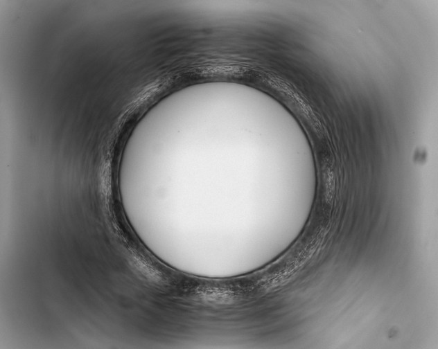 X0000103480729200810031542