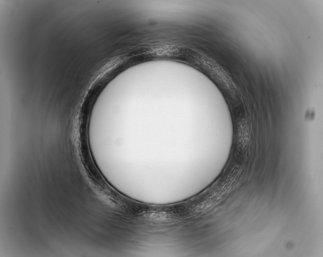 X0000103480730200810031542