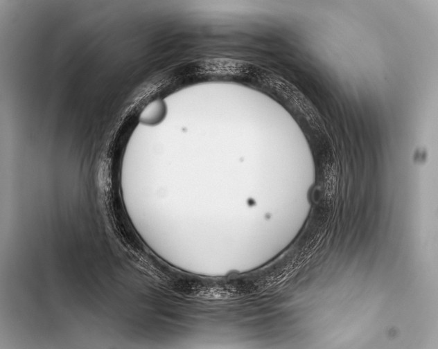 X0000103480731200810031542