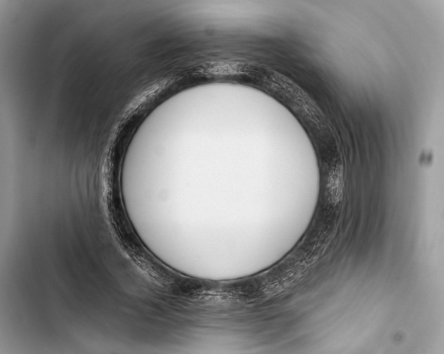 X0000103480732200810031542