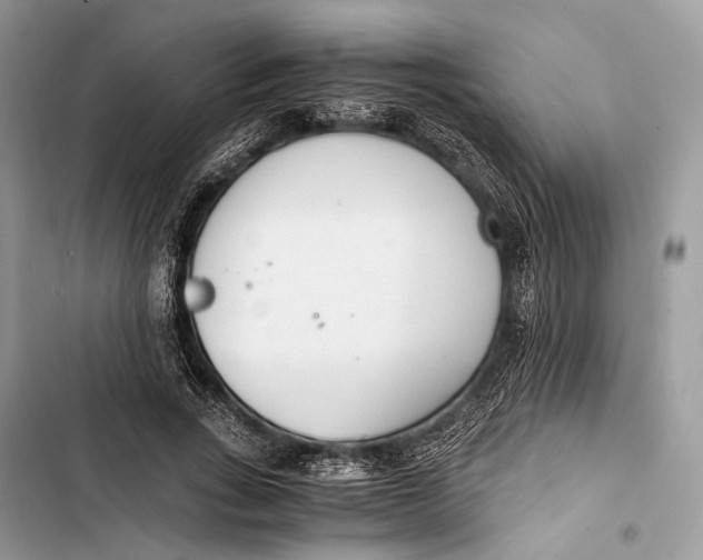 X0000103480735200810031542