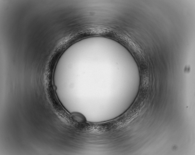 X0000103480736200810031542