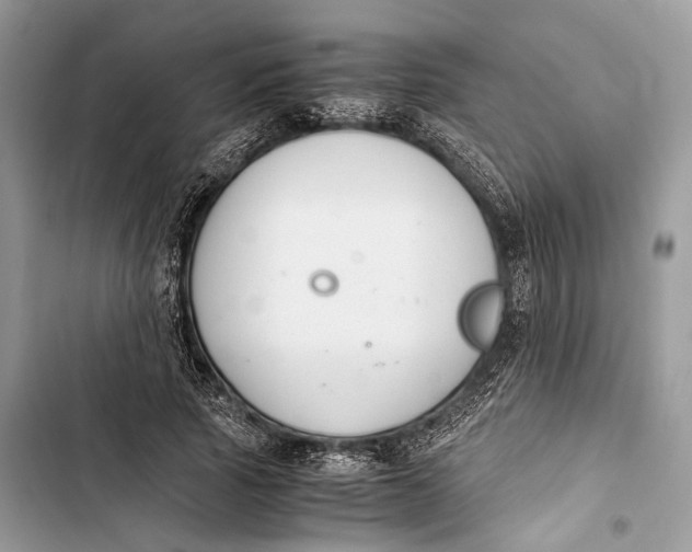 X0000103480737200810031542