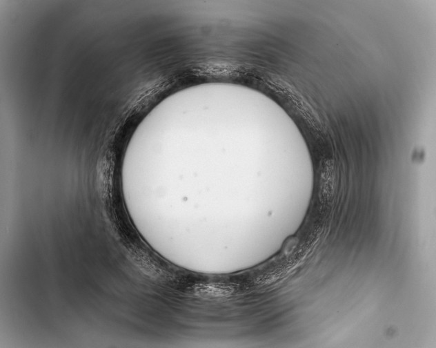 X0000103480739200810031542