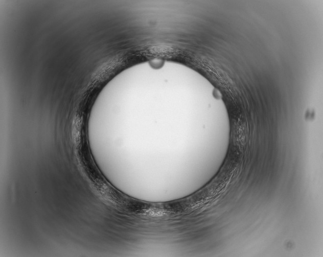 X0000103480742200810031542