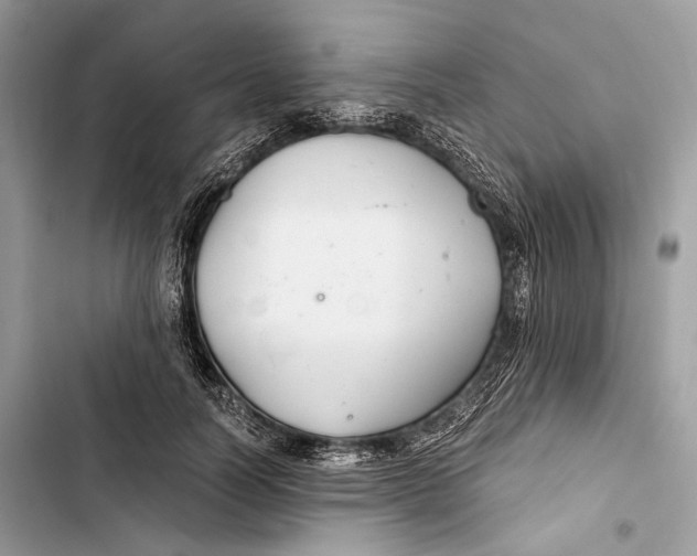 X0000103480746200810031542