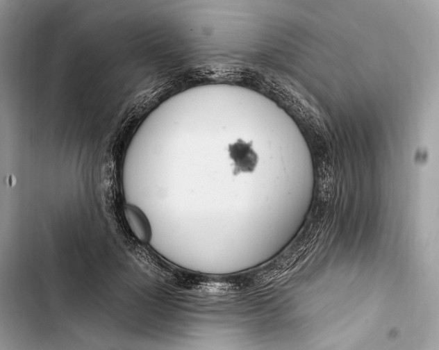 X0000103480748200810031542