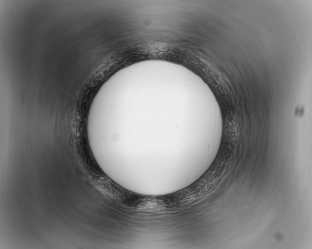 X0000103480750200810031542