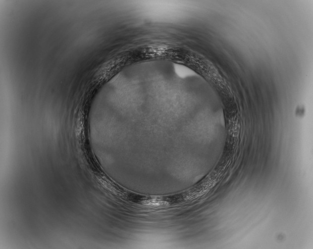 X0000103480754200810031542