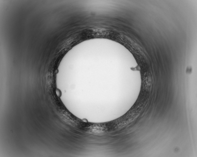 X0000103480756200810031542