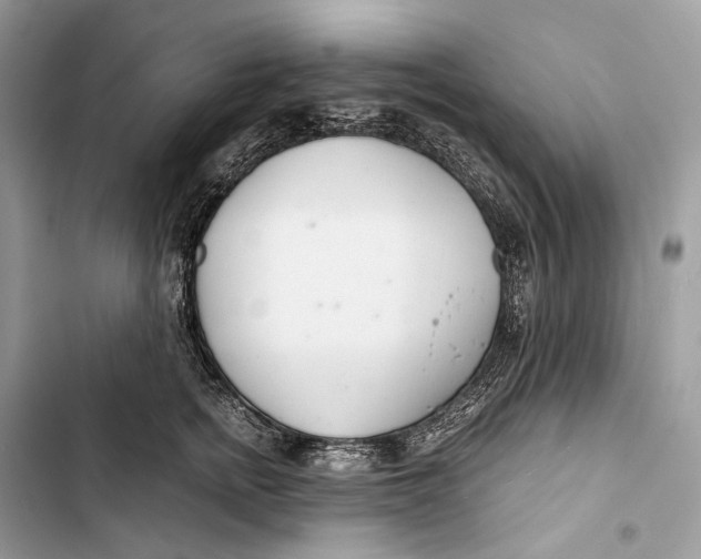 X0000103480758200810031542