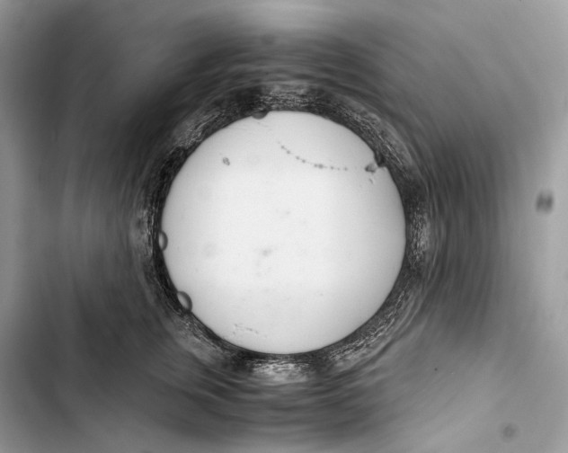 X0000103480759200810031542