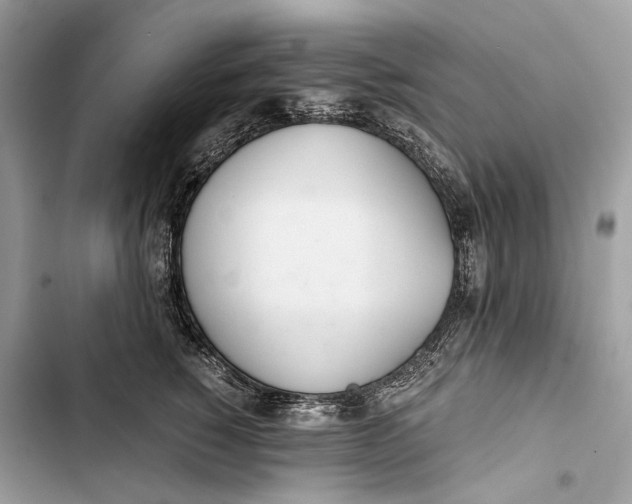 X0000103480760200810031542