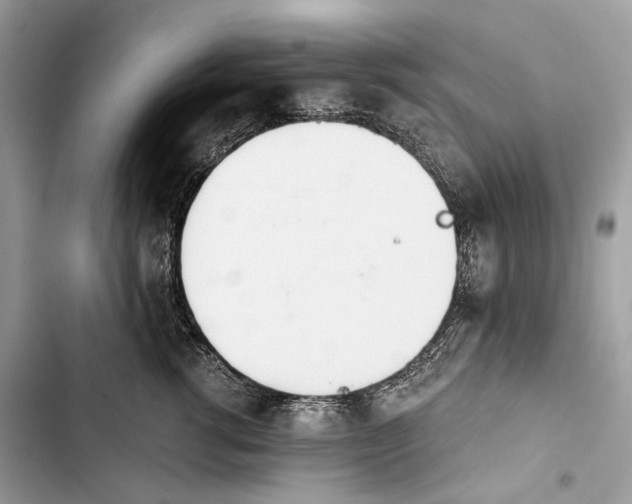 X0000103480762200810031542