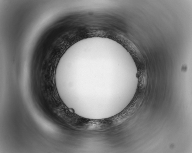 X0000103480764200810031543