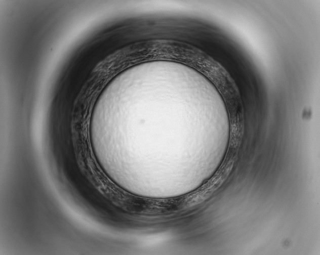 X0000103480765200810031543