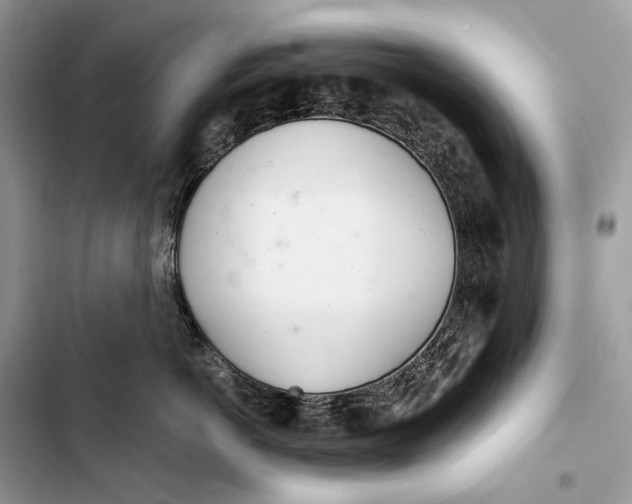 X0000103480766200810031543