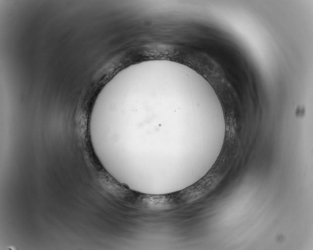 X0000103480767200810031543