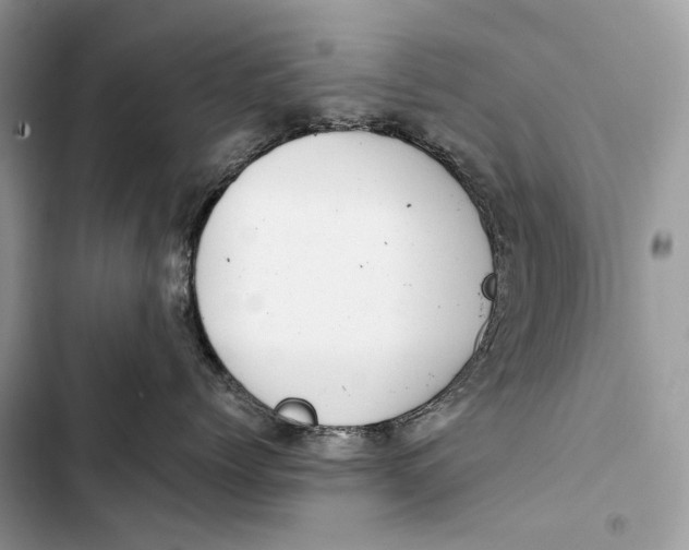 X0000103480768200810031543