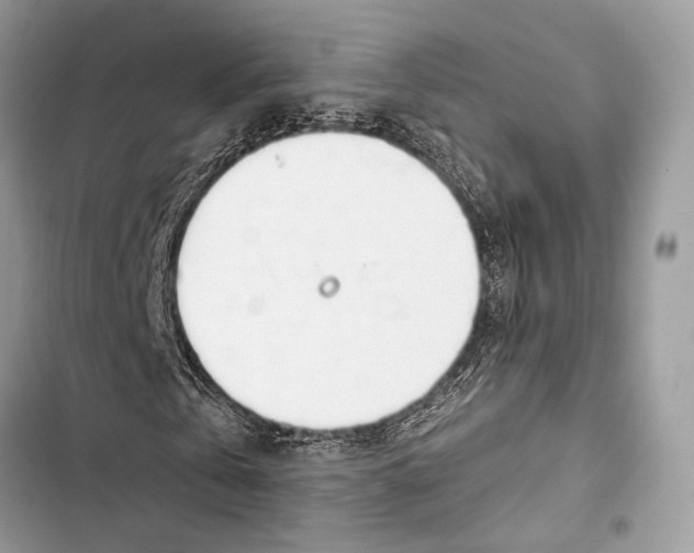 X0000103480769200810031542