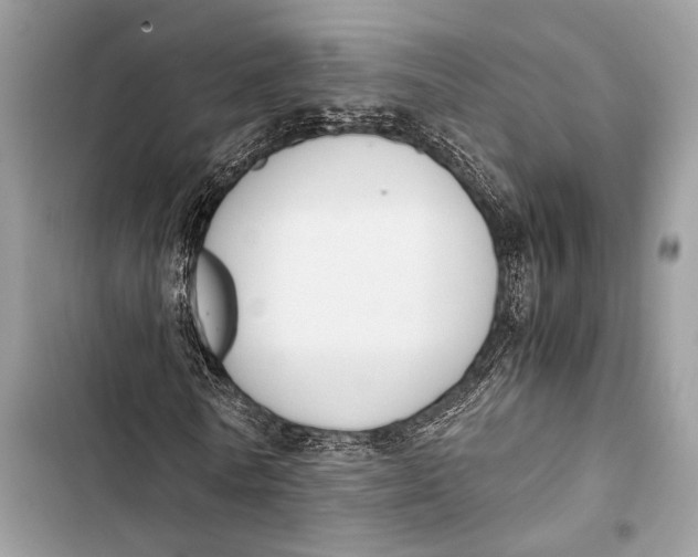 X0000103480770200810031542