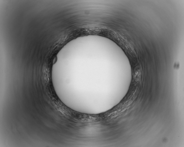 X0000103480772200810031542