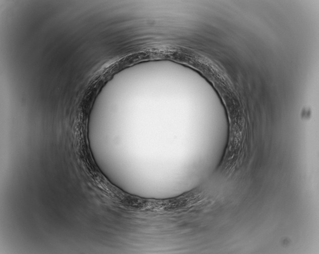 X0000103480773200810031542