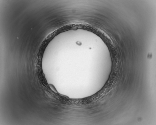 X0000103480775200810031542