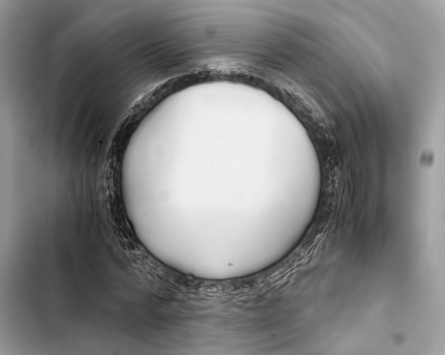 X0000103480776200810031542