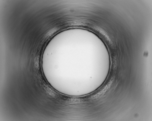 X0000103480777200810031542