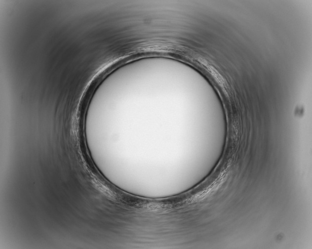 X0000103480779200810031542