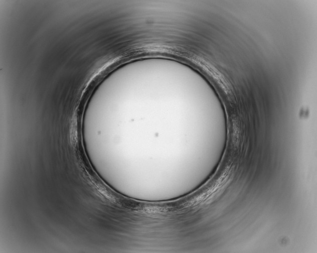 X0000103480782200810031542