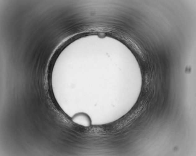 X0000103480784200810031542