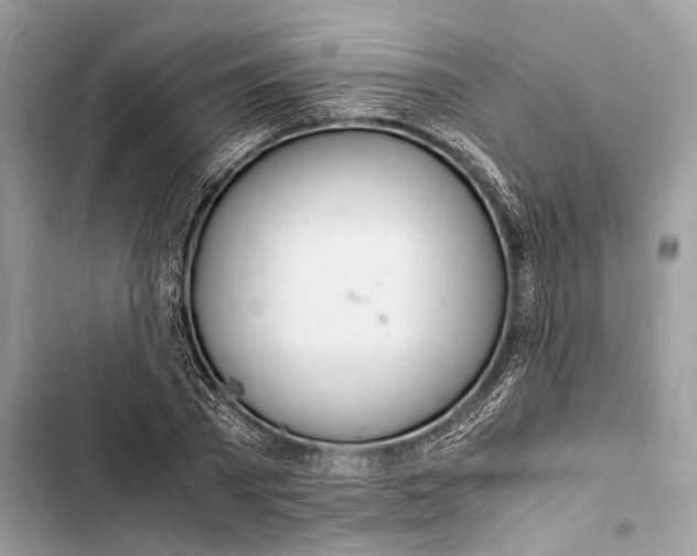 X0000103480785200810031542