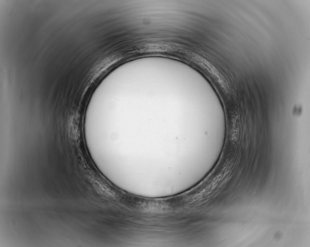 X0000103480786200810031542