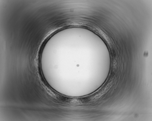 X0000103480787200810031542