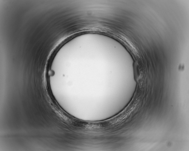 X0000103480788200810031542