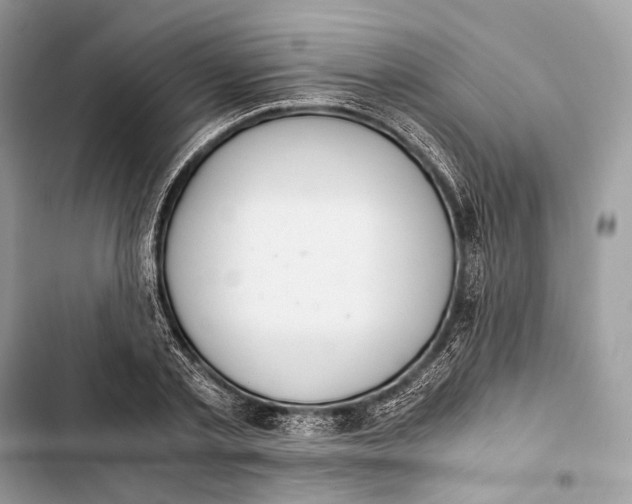 X0000103480789200810031542