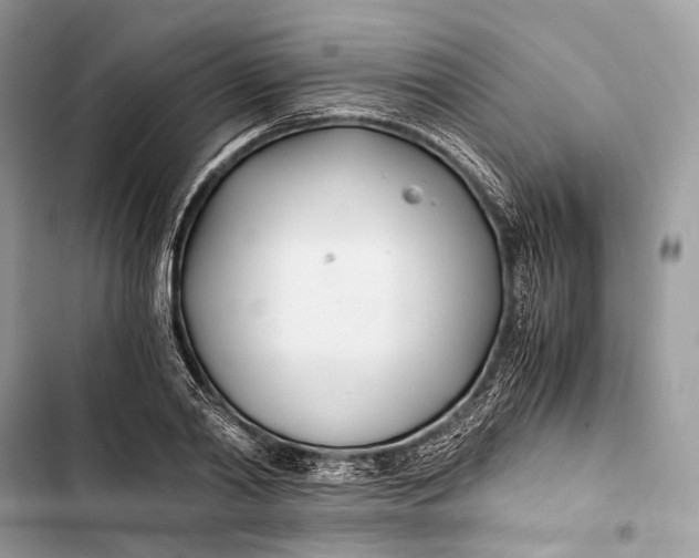 X0000103480790200810031542