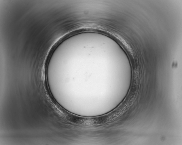 X0000103480791200810031542