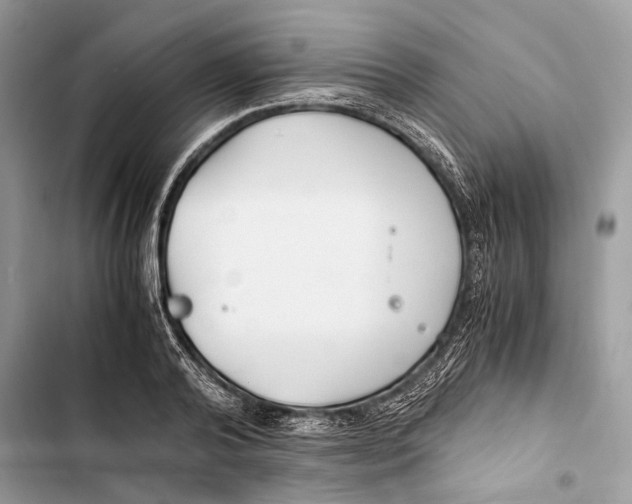 X0000103480792200810031542