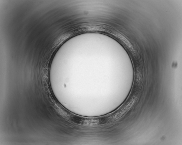 X0000103480793200810031542