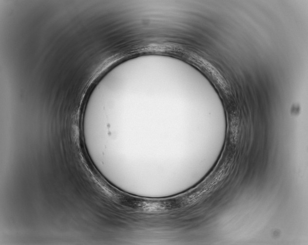 X0000103480794200810031542