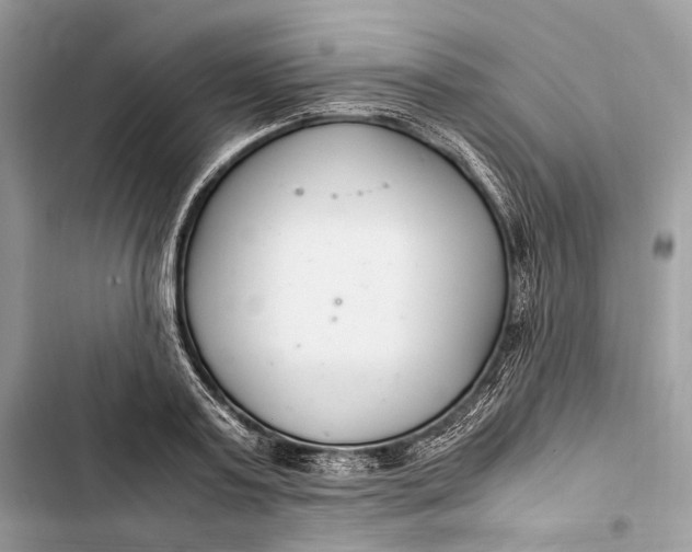 X0000103480795200810031542